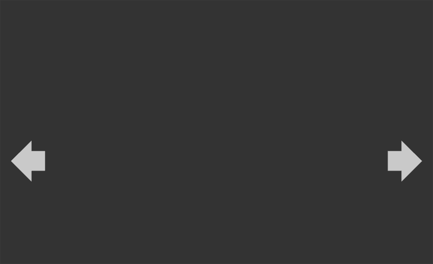 full_view_navigator-5.swf