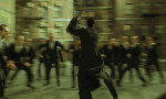 4638brawl.gif