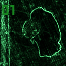 Avatar.png