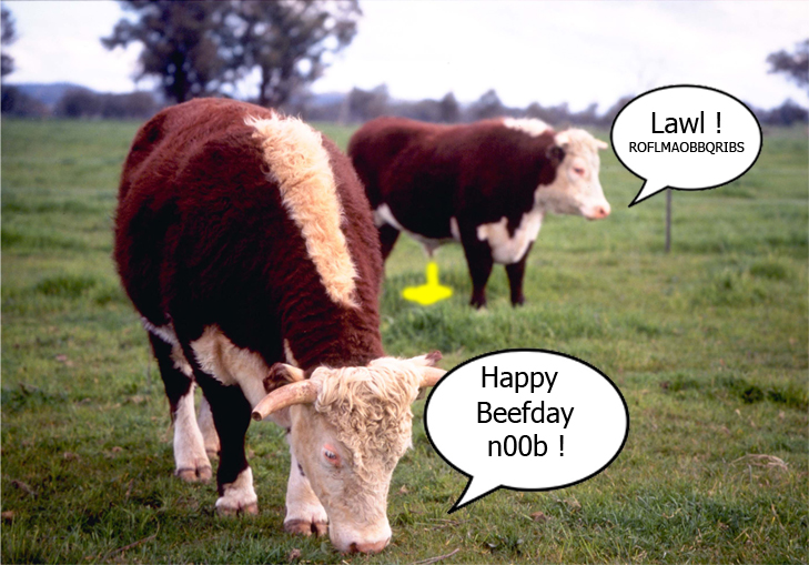 Happybeefday.jpg