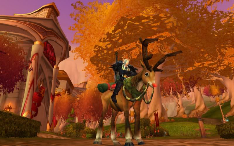 reindeer.jpg