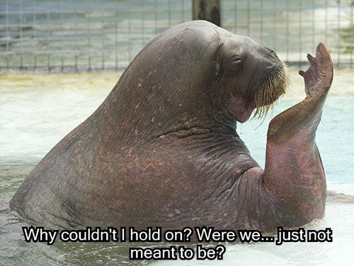 why-couldnt-i-hold-on-were-we-just-.jpg