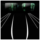 walrus_shadow-sk.jpg