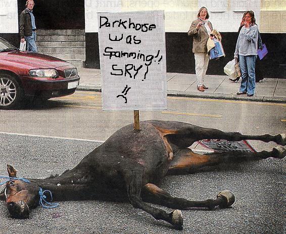 shorsena2.jpg