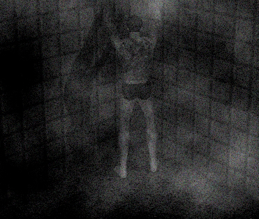 surveillance02qy6.jpg